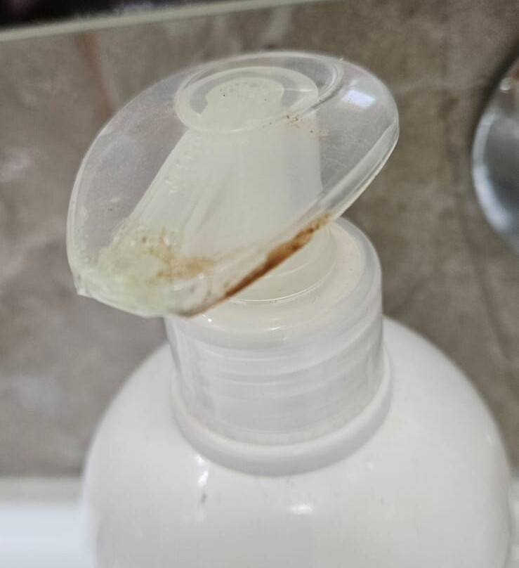 Hotel Sirena Marta主图