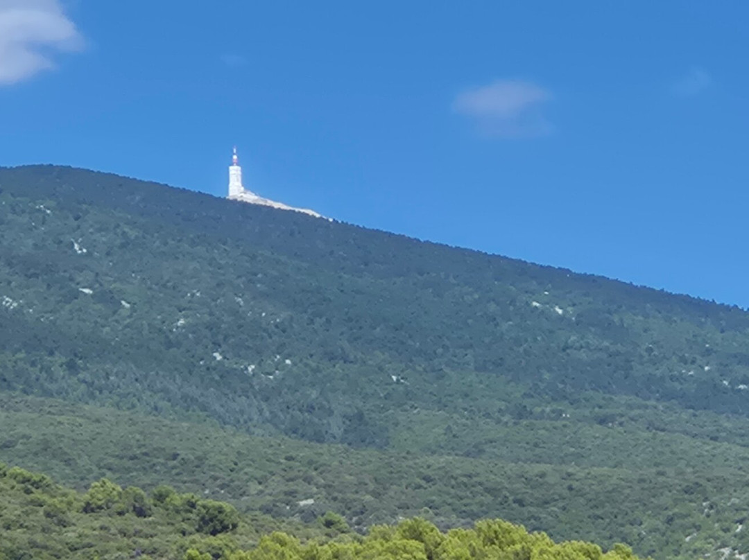 VMV Vignerons du Mont Ventoux-Bedoin必去景点