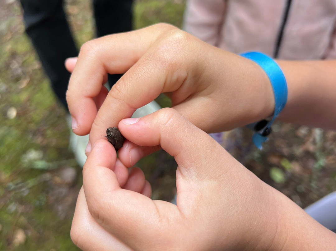 Val Sans Retour-Paimpont必去景点