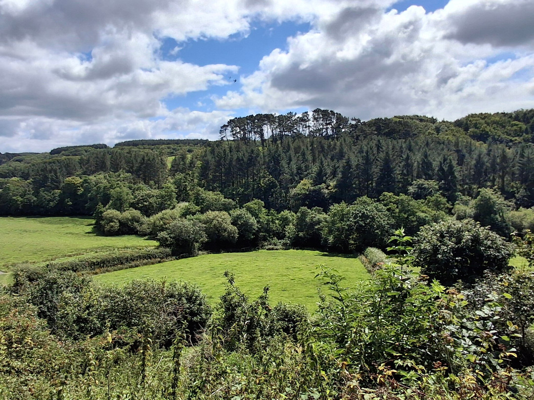 Kilkhampton to Coombe Valley-Kilkhampton必去景点