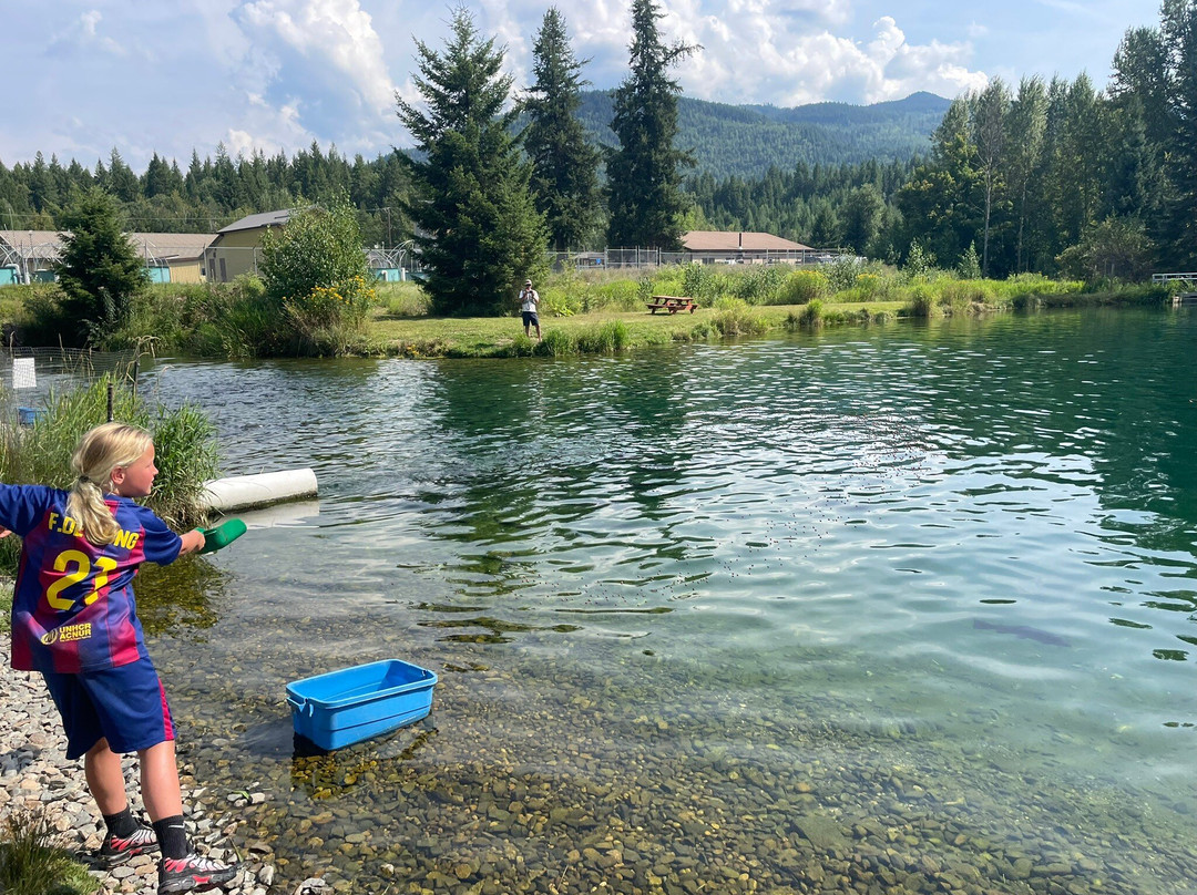 Clearwater Trout Hatchery-克利尔沃特必去景点