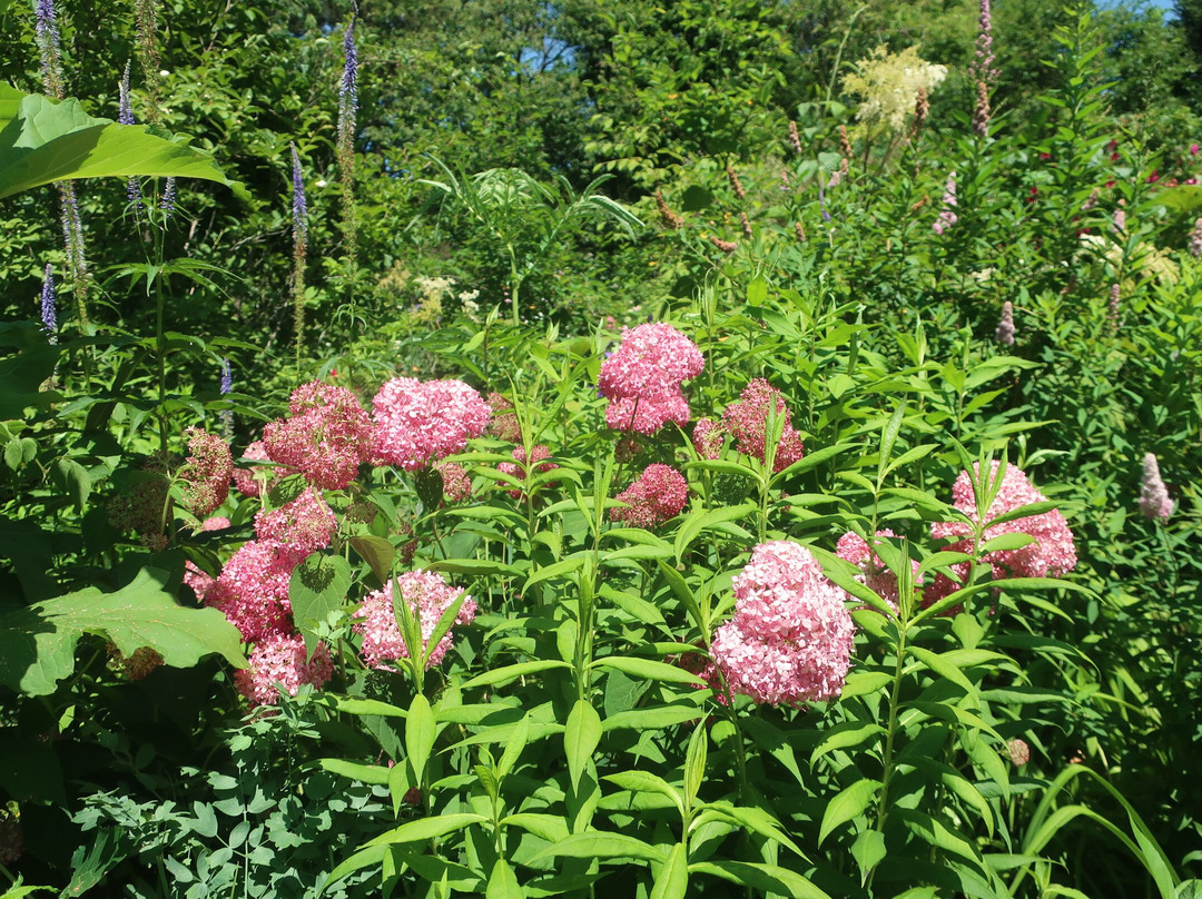 上野农场-旭川市必去景点