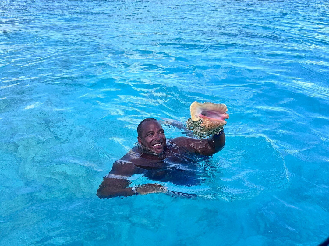 Bahamas Discovery Quest-长岛必去景点