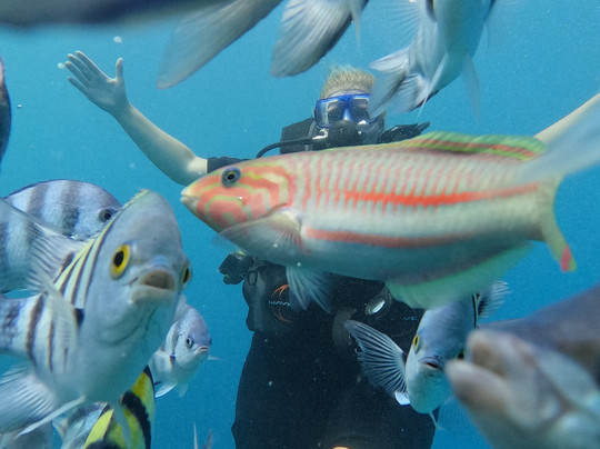 Atlantis Tauchen Hurghada-赫尔格达必去景点