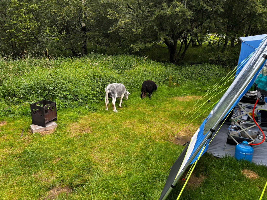 Seatoller Farm B&B主图