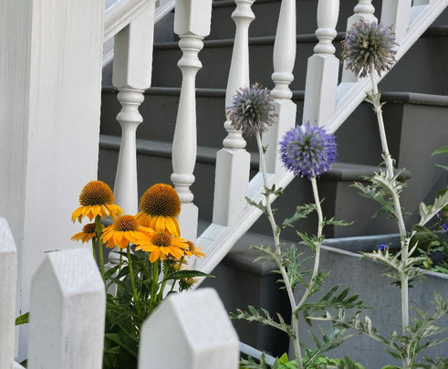 Intrepid Urban Adventures - New York City-纽约市必去景点