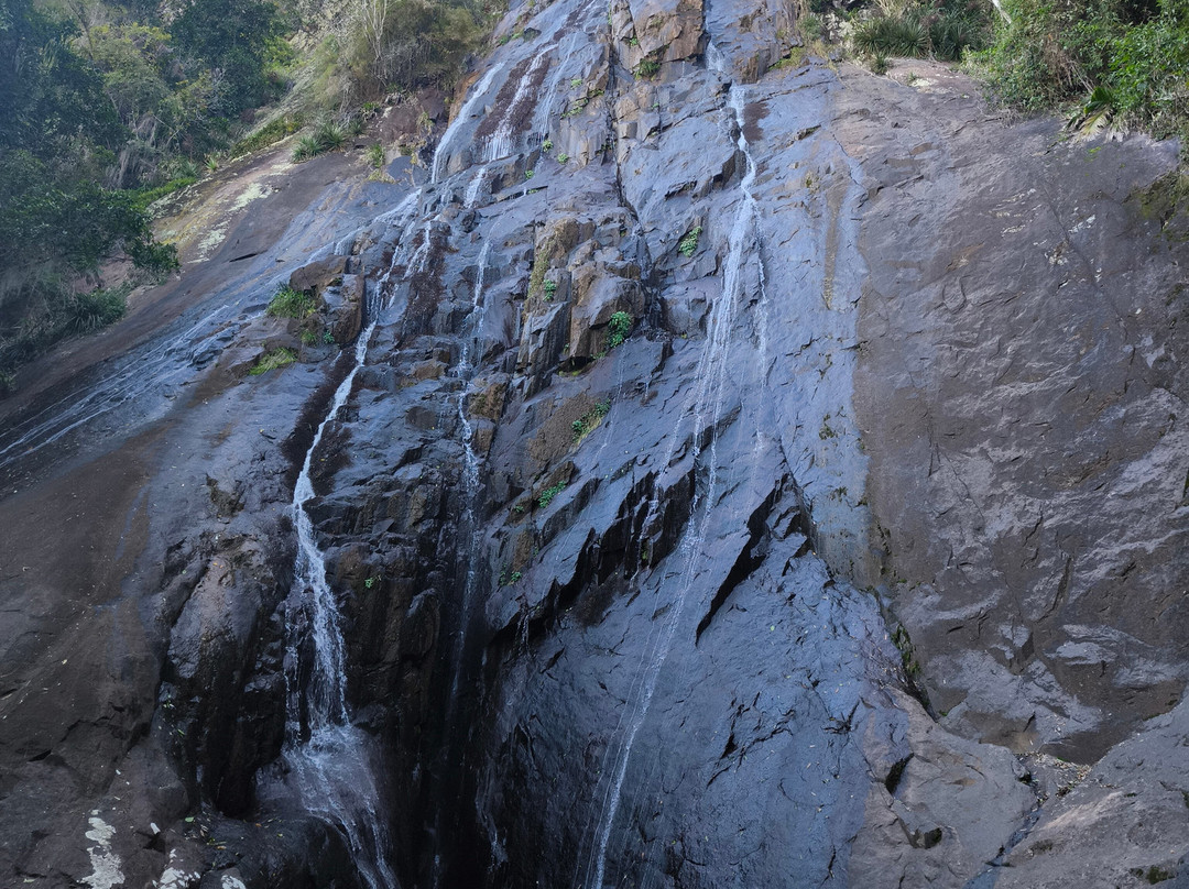 Graxaim do Mato-Praia Grande必去景点