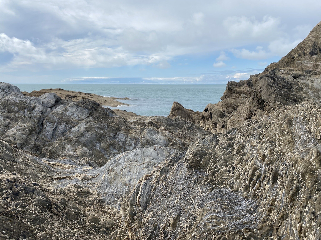 Ilfracombe Harbour-伊尔弗勒科姆必去景点