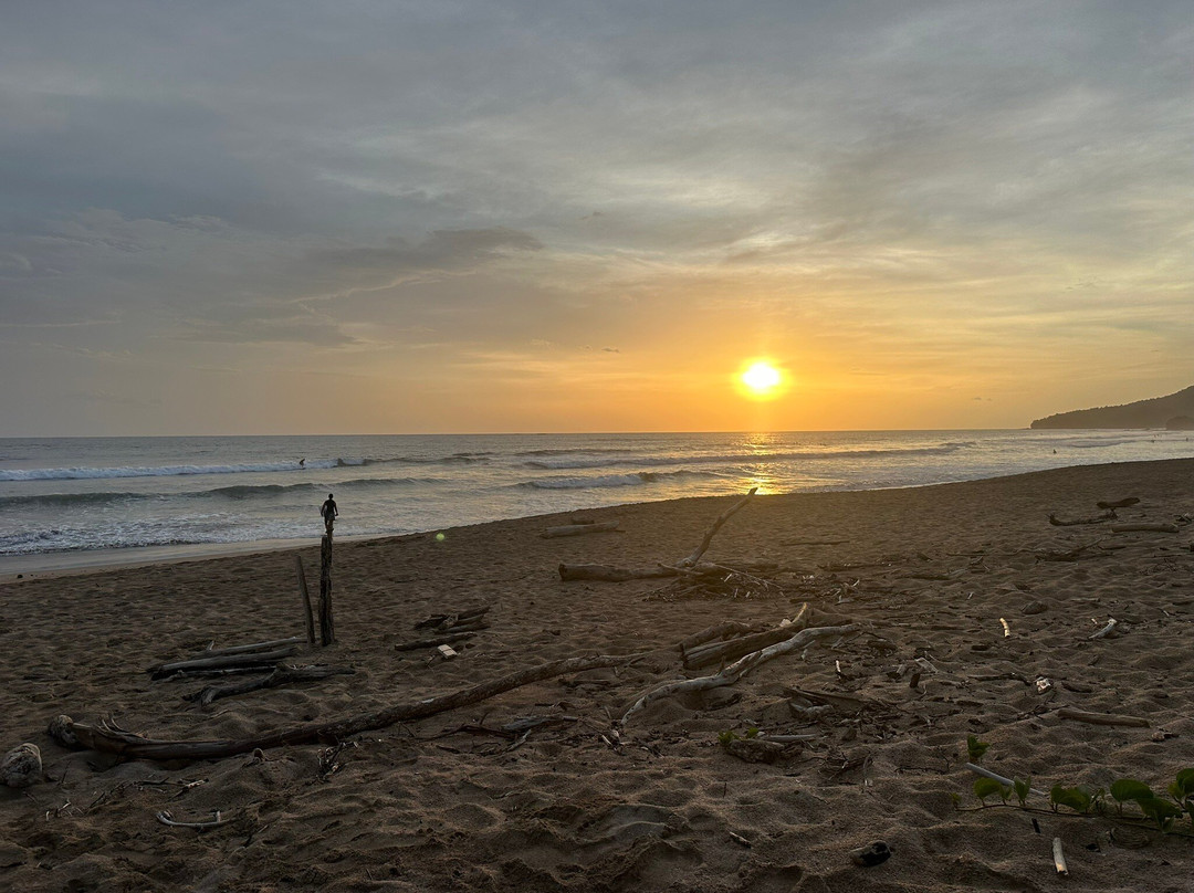 El Reinas by Sugar's Monkey主图