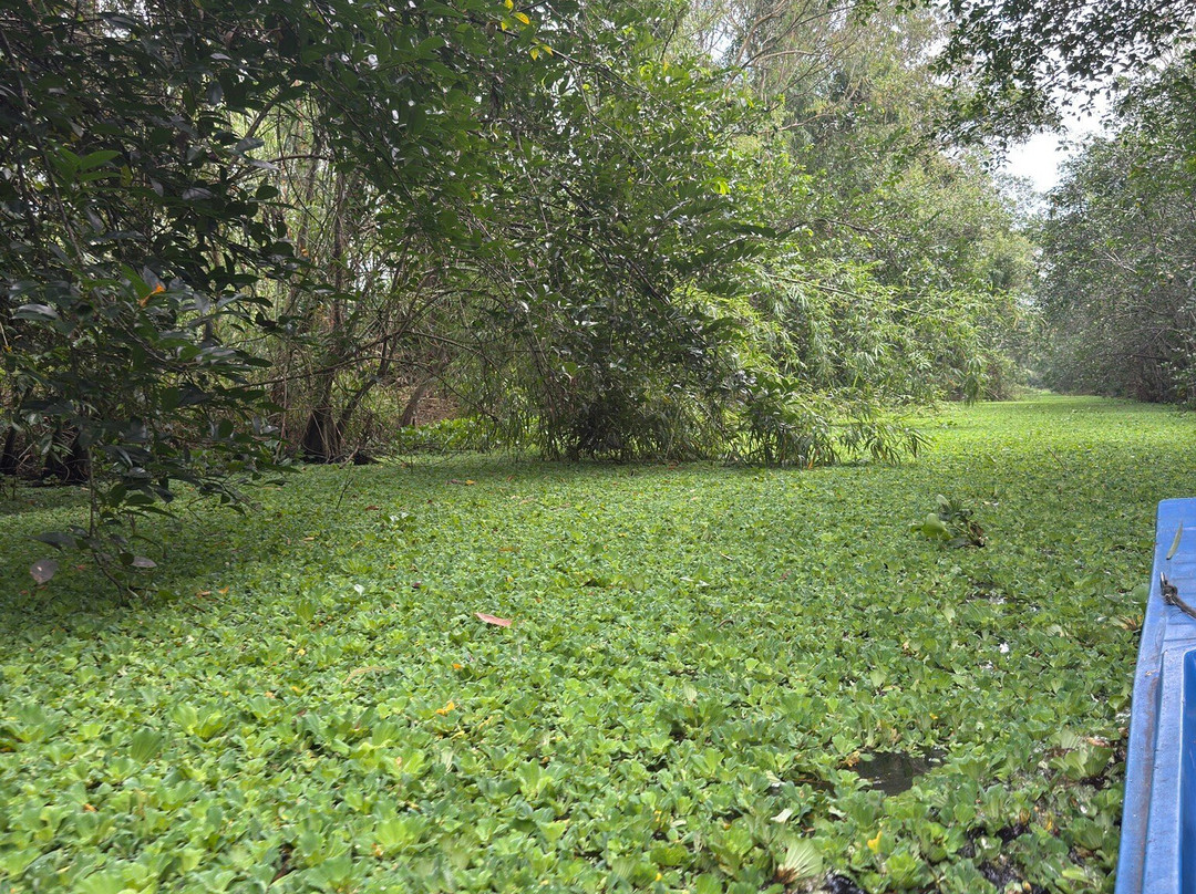 Mekong Experience Travel-芹苴必去景点