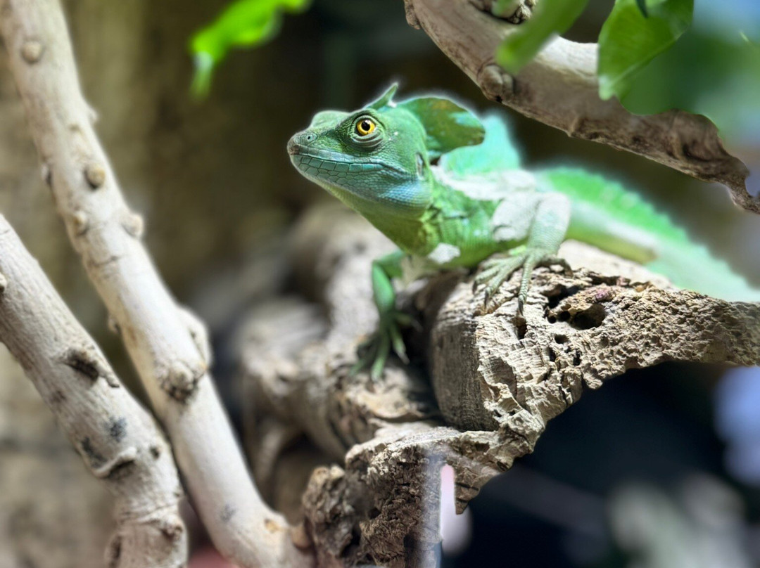 Planet Exotica-鲁瓦扬必去景点