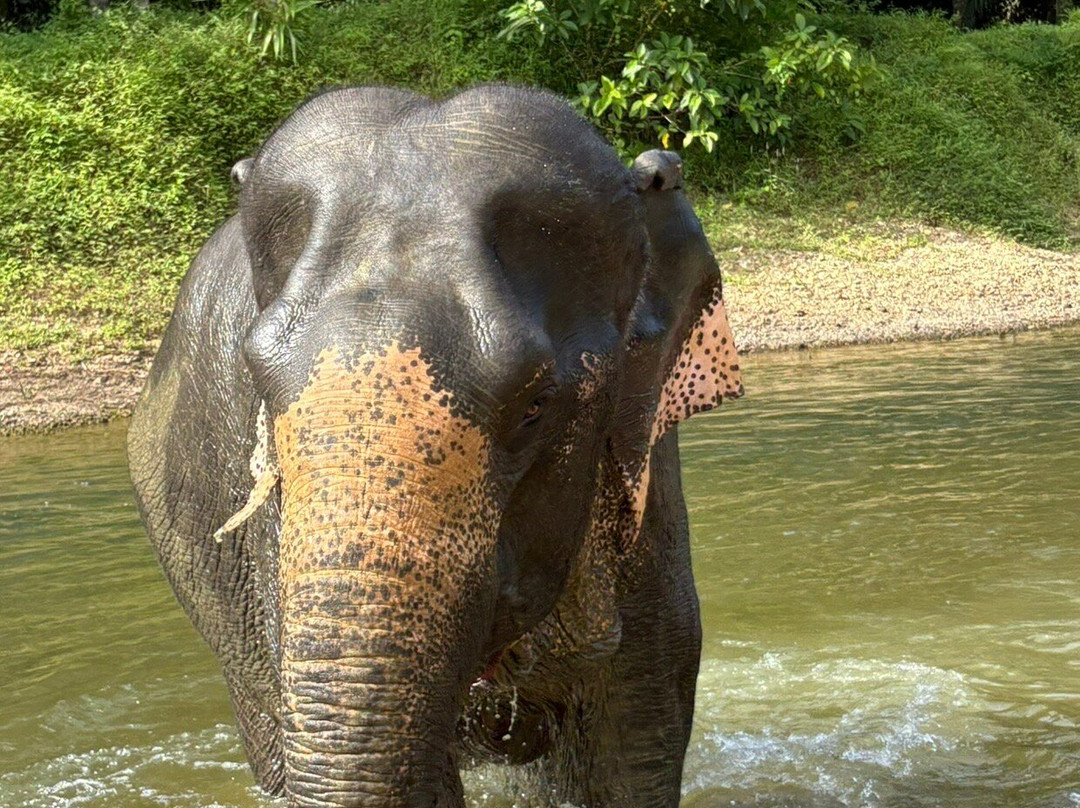 Excursions Thailand-巴尼亚海滩必去景点