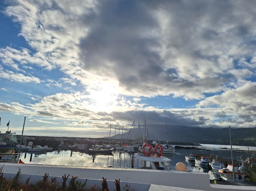 Lajes do Pico餐馆和美食-Baleias Café