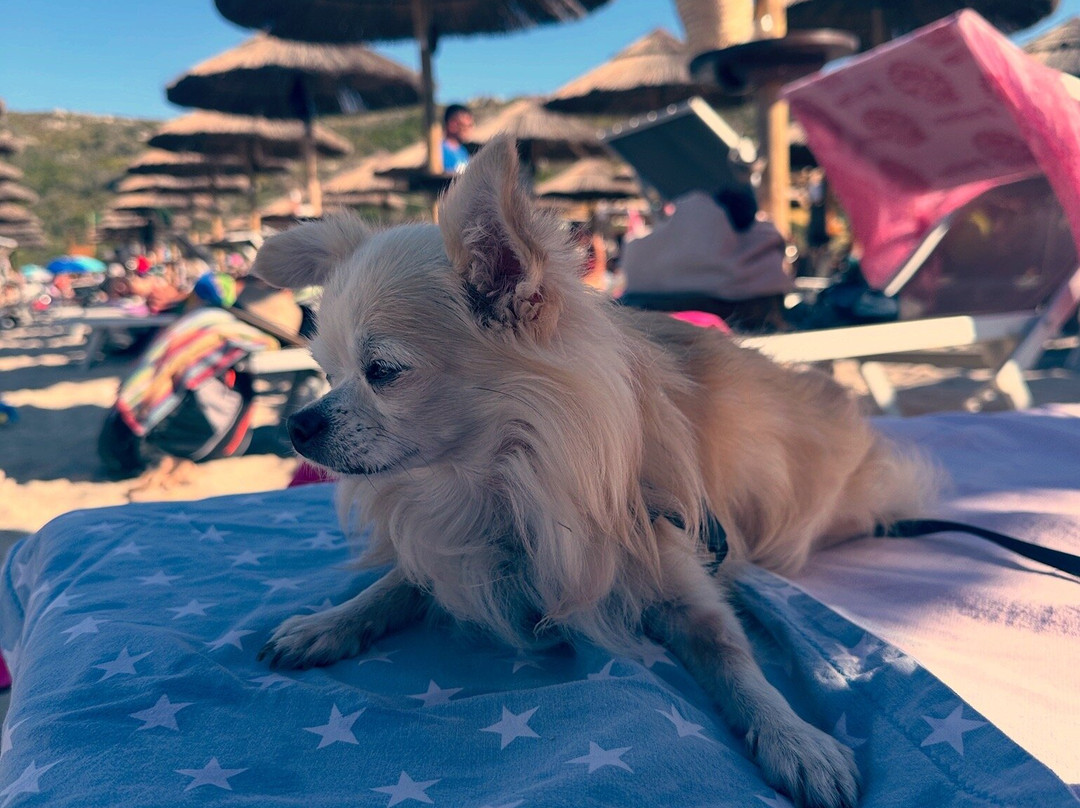 Lido 4 Mori-Santa Teresa Gallura必去景点