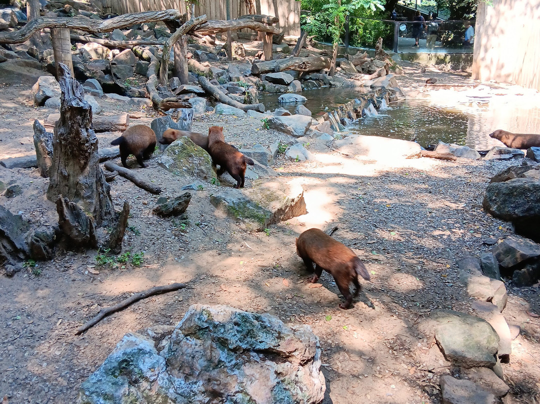 Zoo des Sables-莱萨布勒多洛讷必去景点