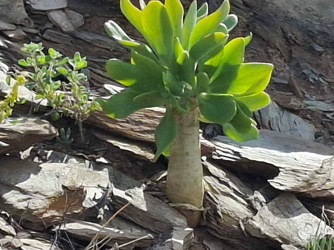 里希特斯韦特国家公园-北开普省必去景点