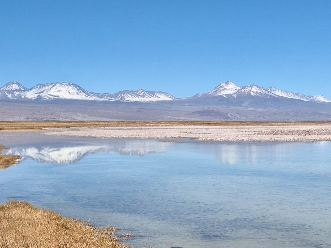 Laguna Cejar-圣佩德罗-德阿塔卡马必去景点