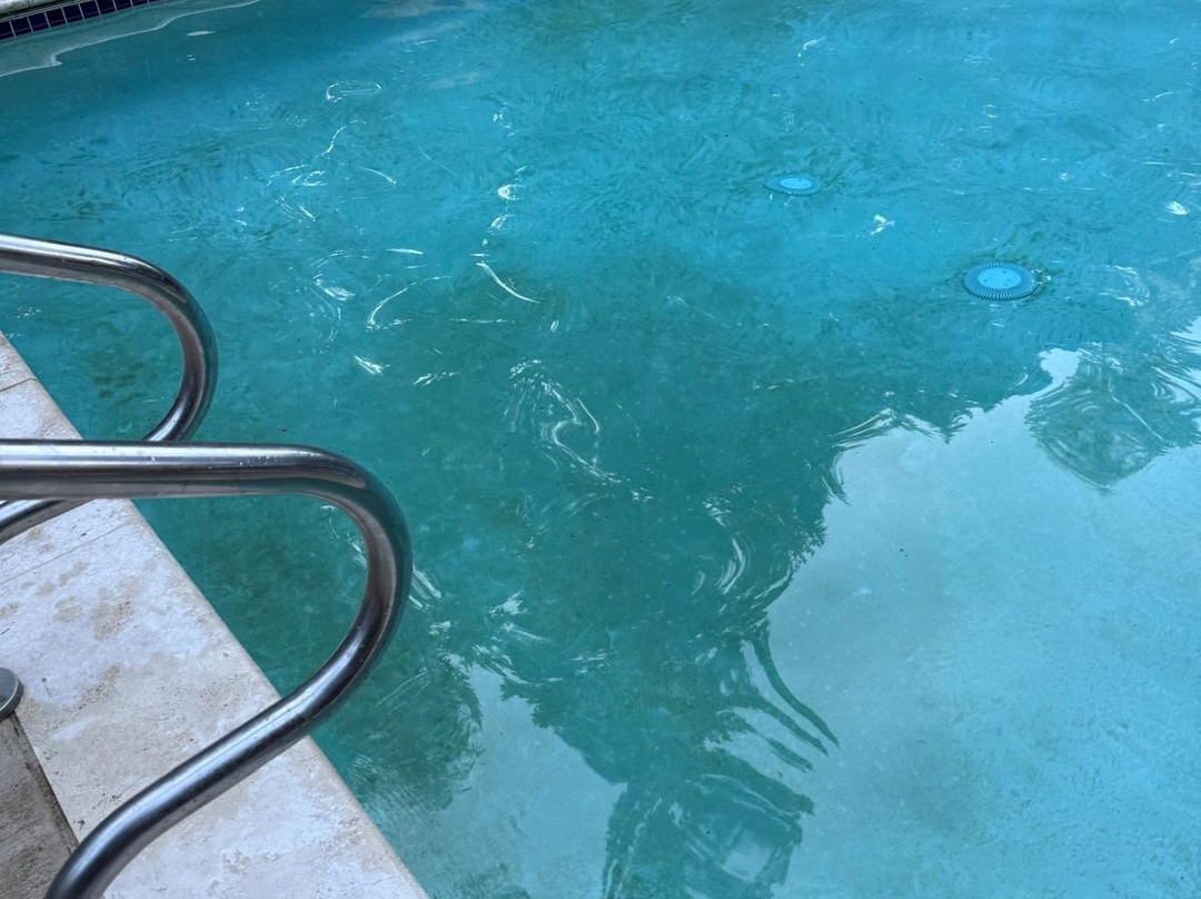 LOGE Alta Crystal主图