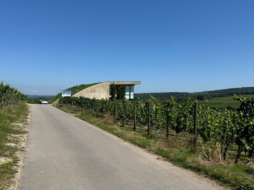 Domaine Henri Ruppert-Schengen必去景点