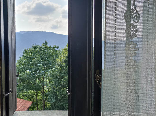 ΤΟ ΑΡΧΟΝΤΙΚΟ