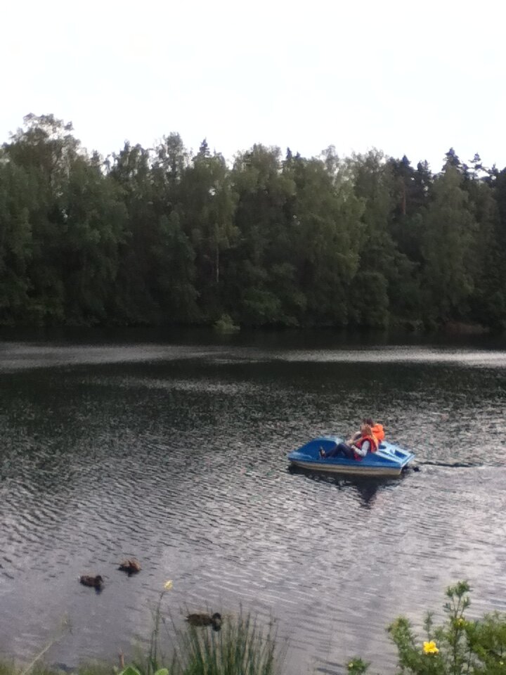 Nelijarve Holiday Centre-泳池