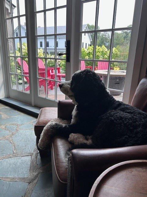 The Barnstead Inn主图