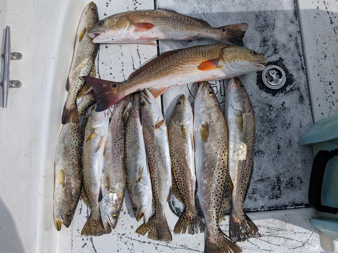 Captain Jayson-锡达礁必去景点