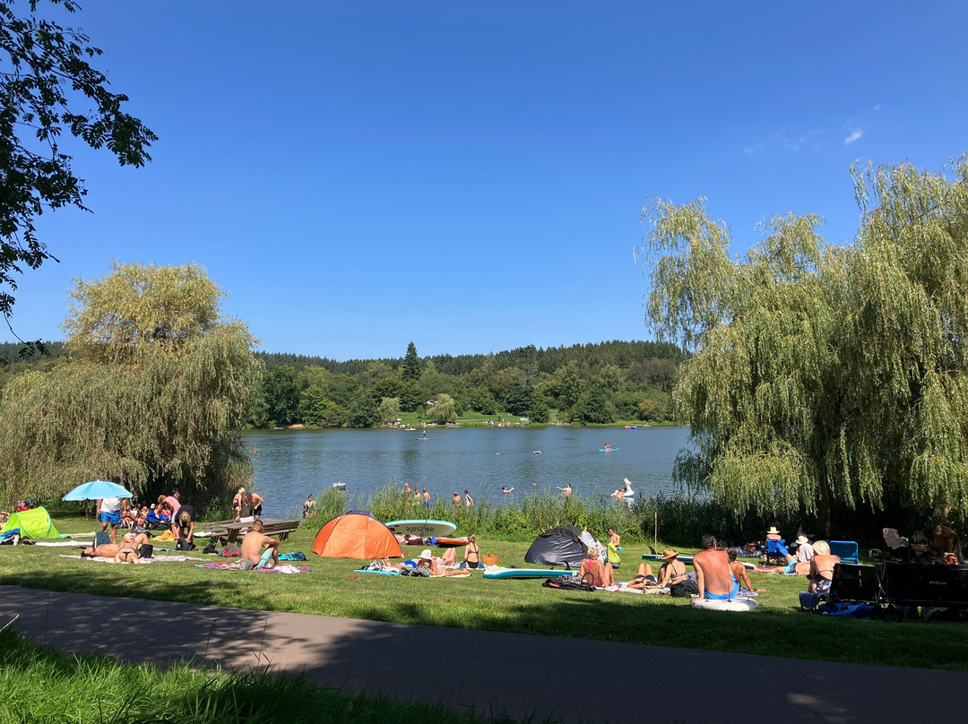 Stausee Losheim-Losheim am See必去景点