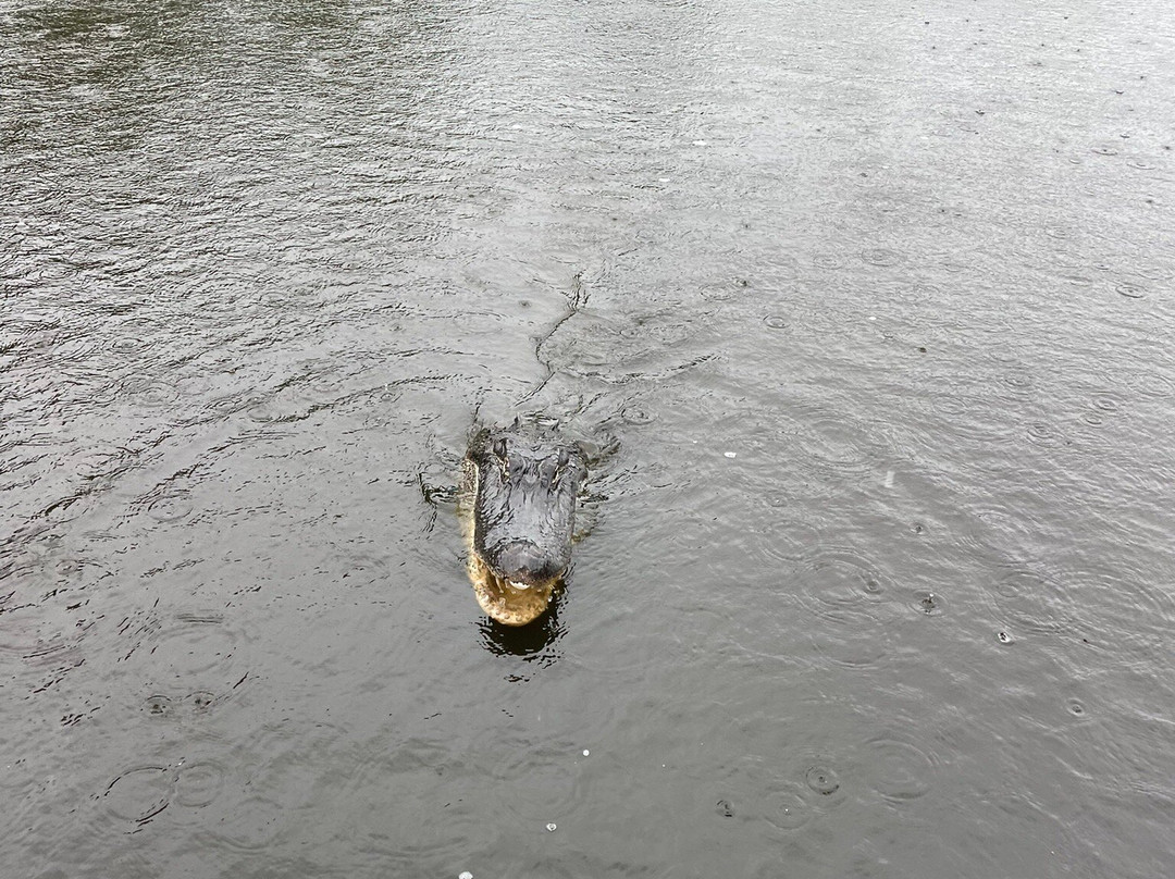 Zam's Bayou Swamp Tours-Kraemer必去景点