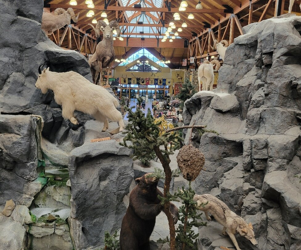 Cabela's-Triadelphia必去景点