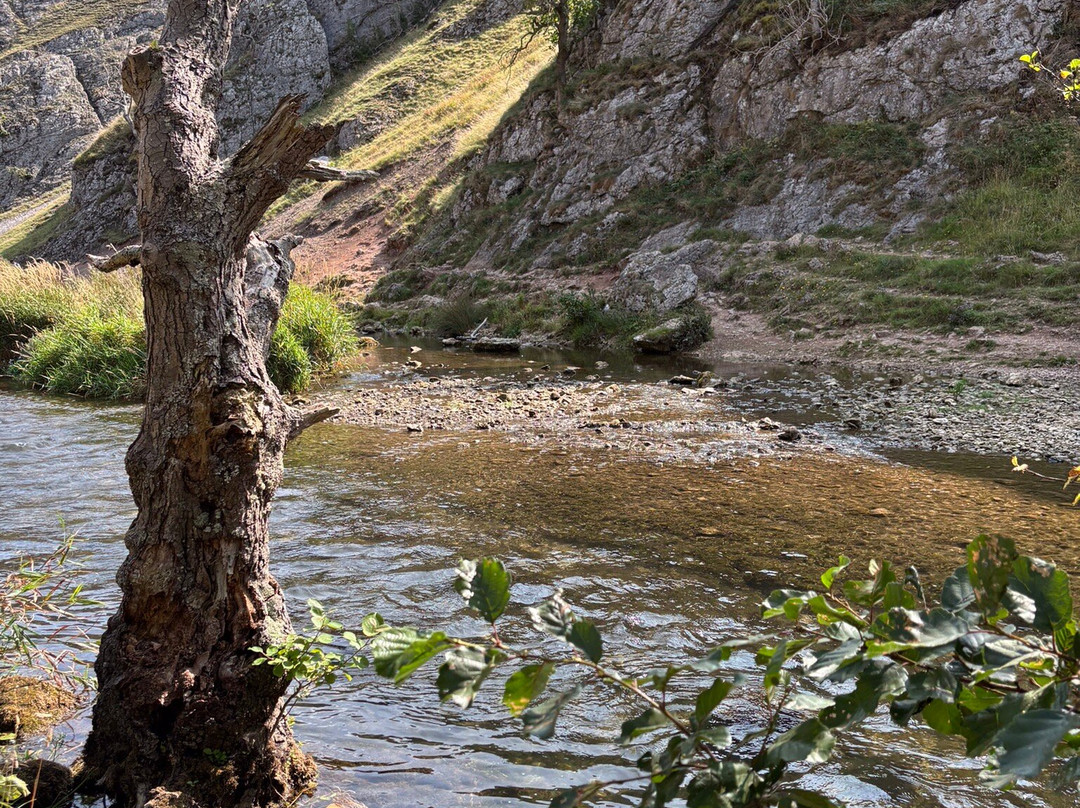 Dovedale Stepping Stones-Thorpe必去景点