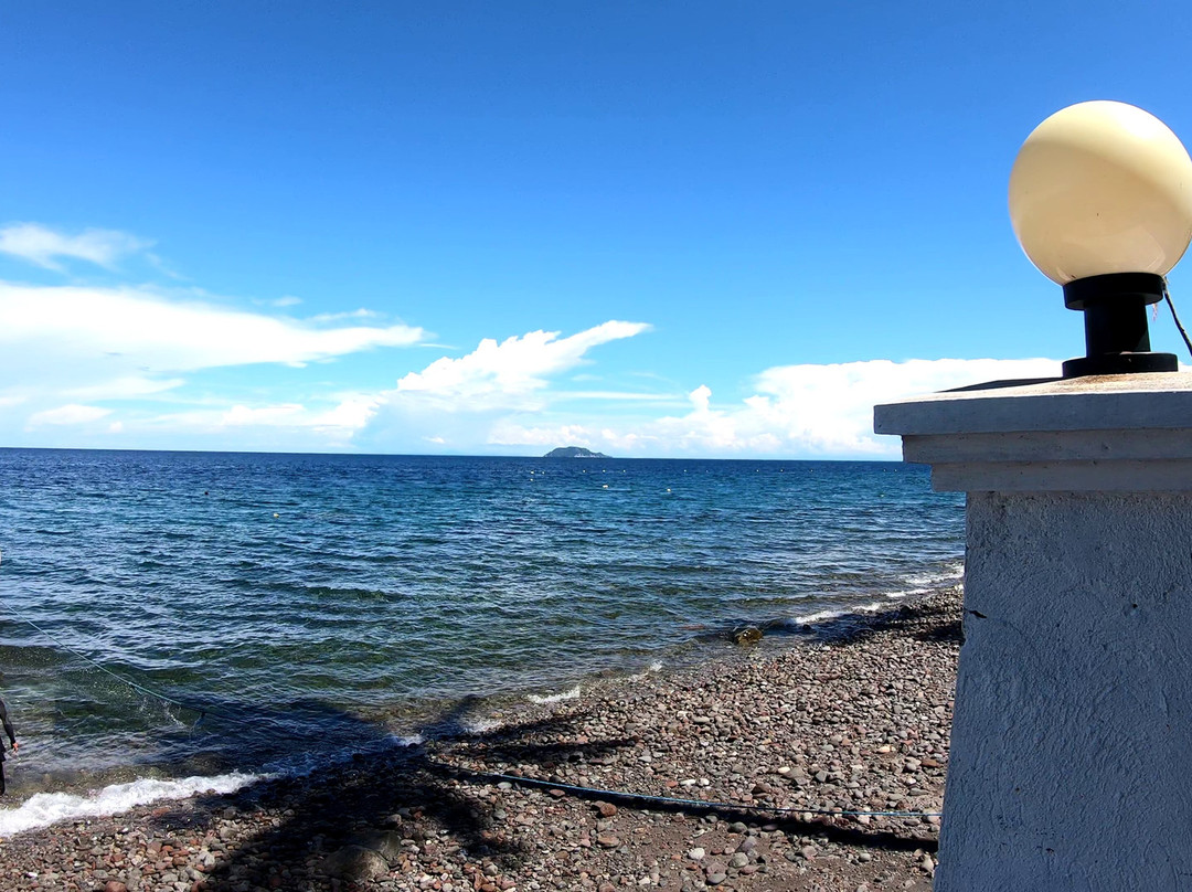 Dive Society Dauin-岛印必去景点