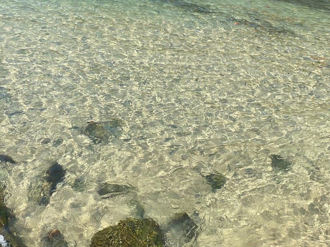 Lagoinha Beach-Bombinhas必去景点