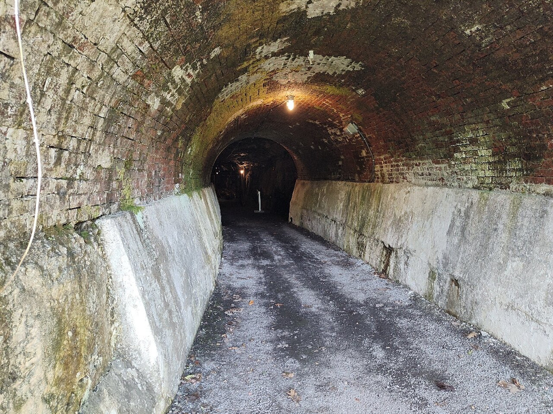 Pocahontas Exhibition Coal Mine-Pocahontas必去景点