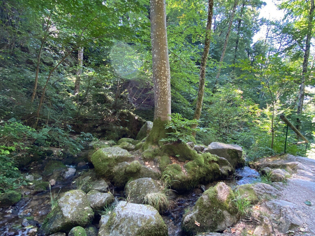 Gaishöll-Wasserfälle-Sasbachwalden必去景点