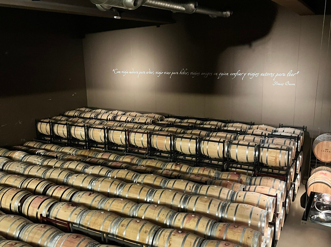 Bodegas Lozano-Leza必去景点