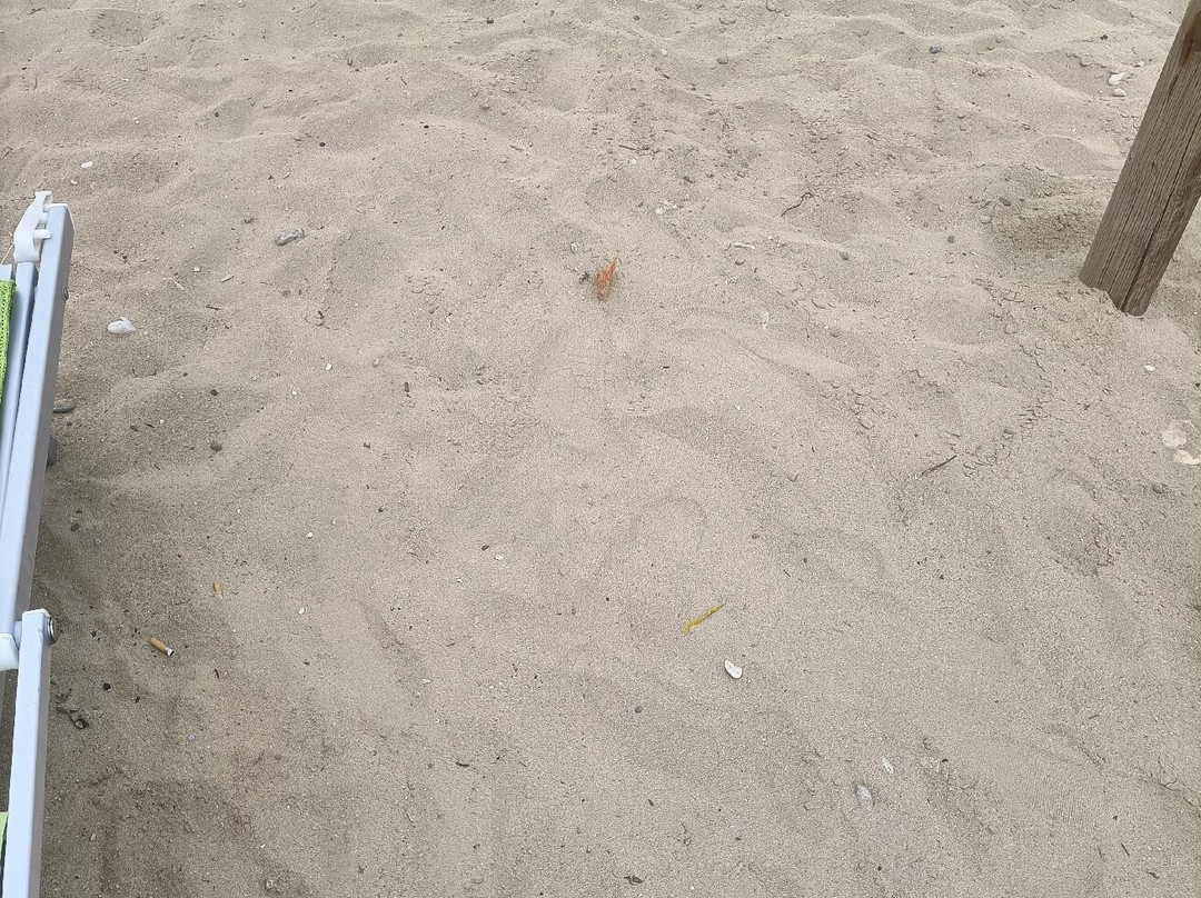 Maldive del Salento-Posto Vecchio必去景点