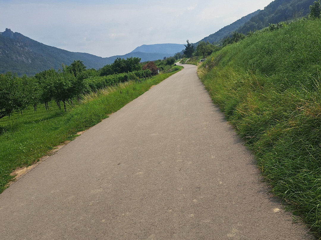 Landgasthof Erber主图