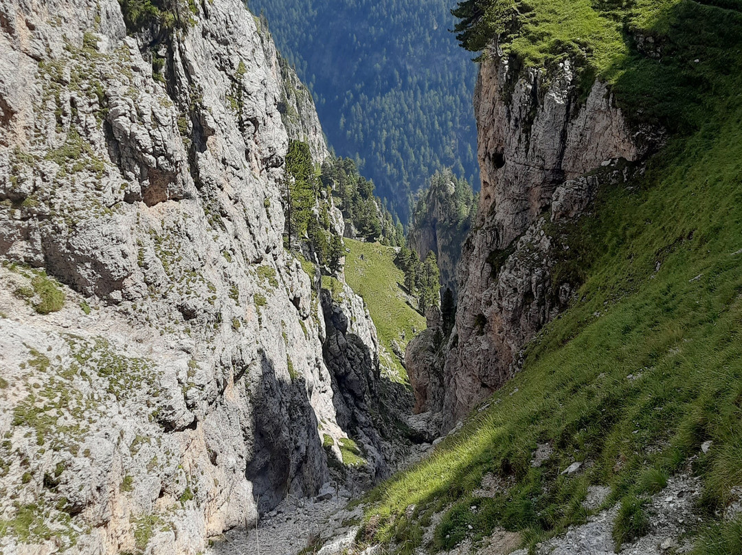 Sentiero per Rifugio Stevia-塞尔瓦迪加尔代纳必去景点