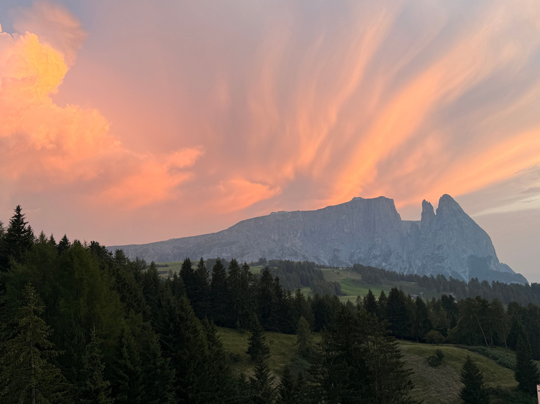 Hotel Chalet Dolomites主图