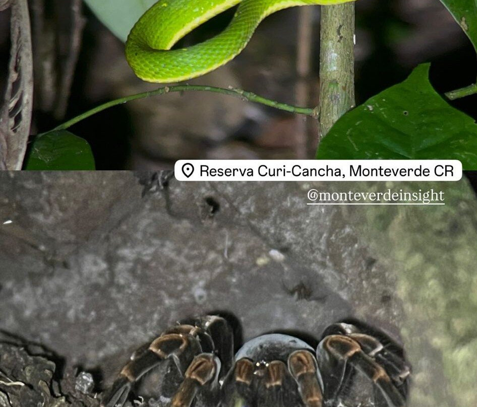 Eberth Villegas Villegas-圣埃伦娜必去景点