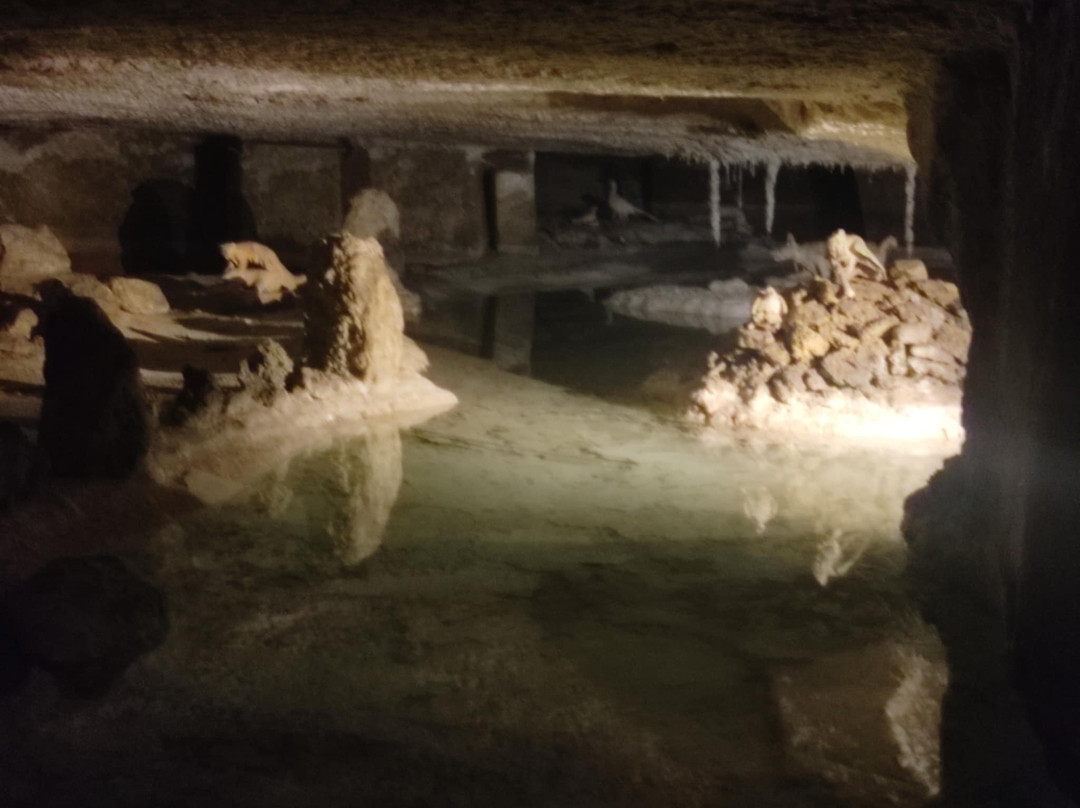 Les Grottes Petrifiantes-Savonnieres必去景点