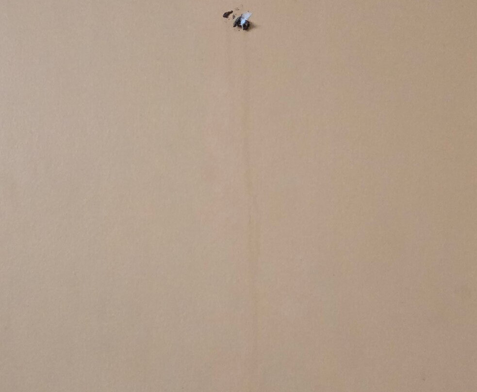 Country Inn & Suites by Radisson, Dearborn, MI主图