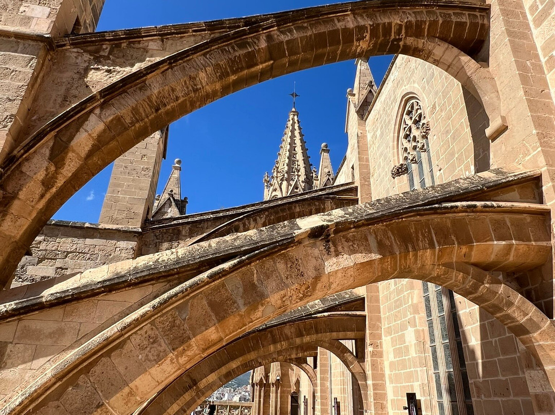 Terrazas de la Catedral de Palma-马洛卡帕尔马必去景点