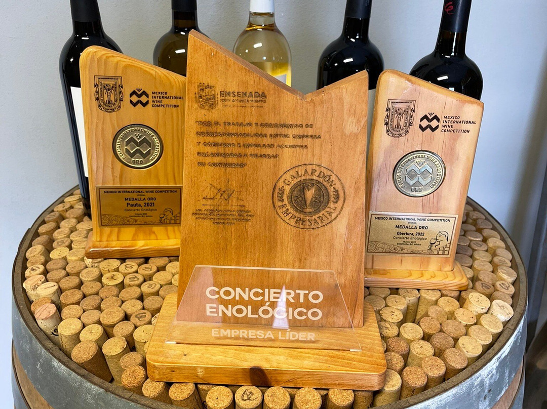 Concierto Enológico-Ejido El Porvenir必去景点