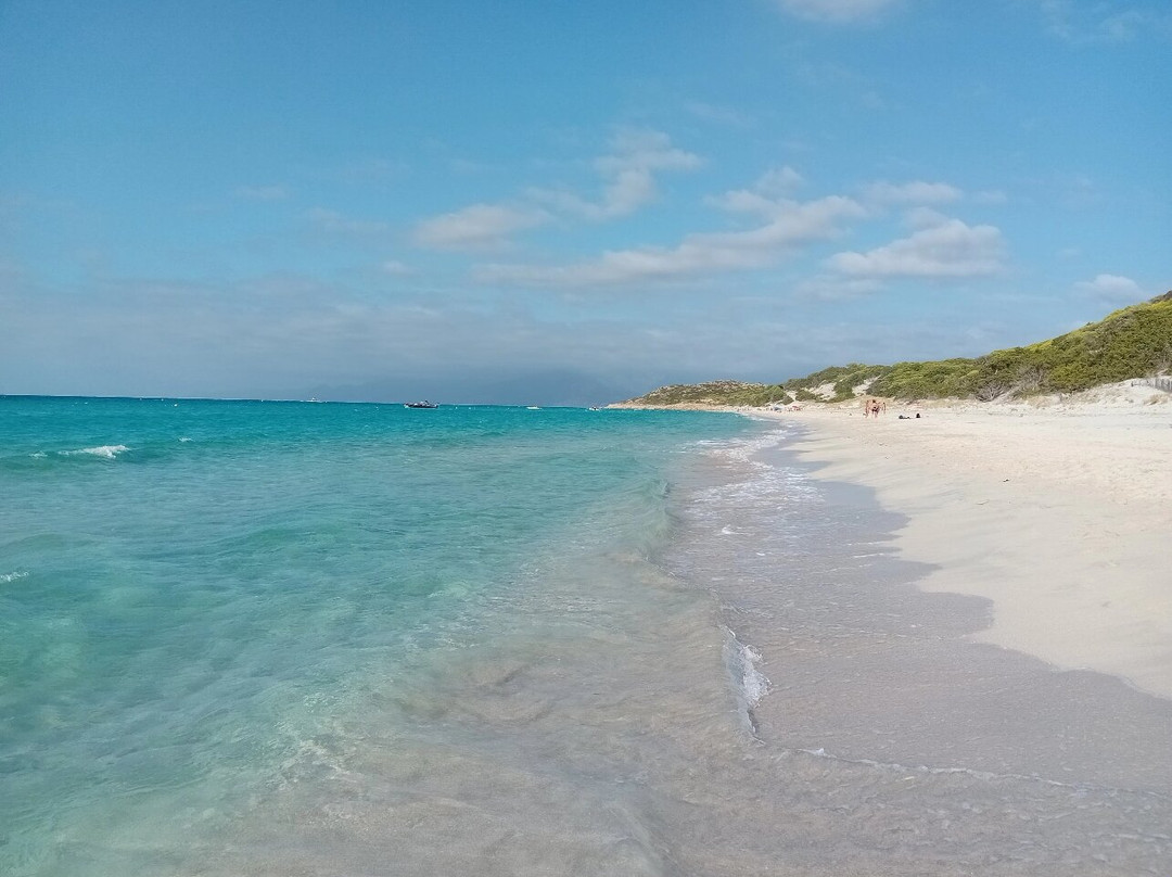 Plage de Saleccia-Santo-Pietro-di-Tenda必去景点