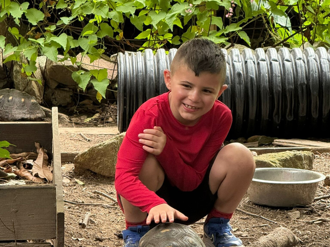 The Hillside: Eco Retreat-菲利普斯堡必去景点