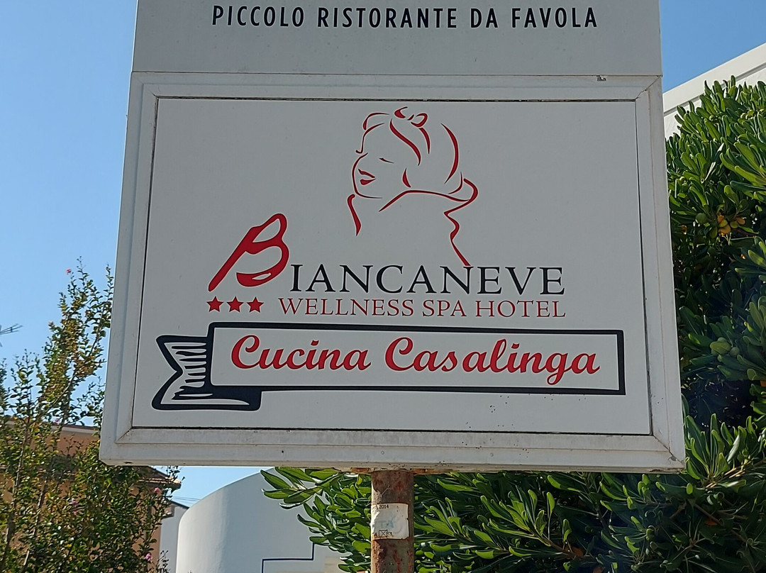 艾尔伯格比安卡尼维酒店主图