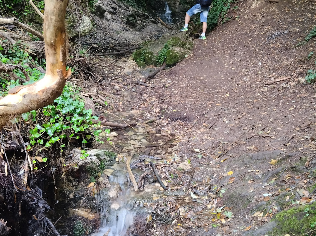 Riserva Naturale Regionale Sorgenti del Fiume Vera-Tempera必去景点