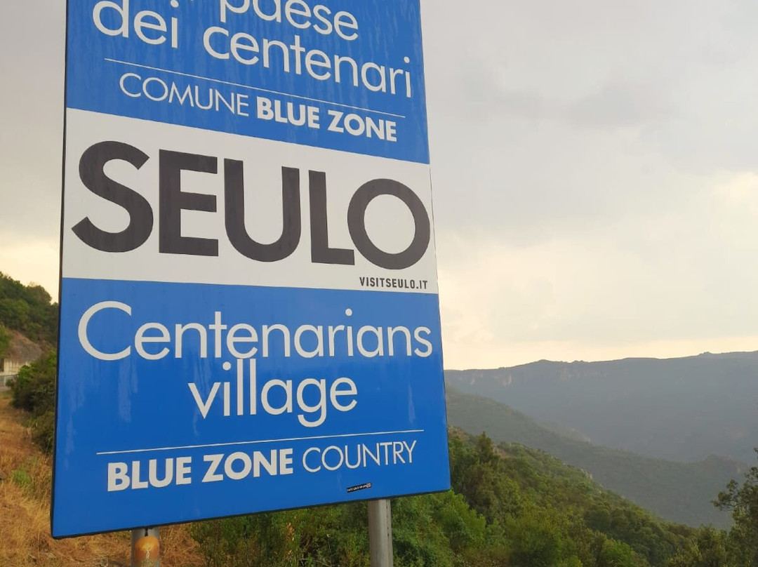 Agriturismo S'Armidda主图